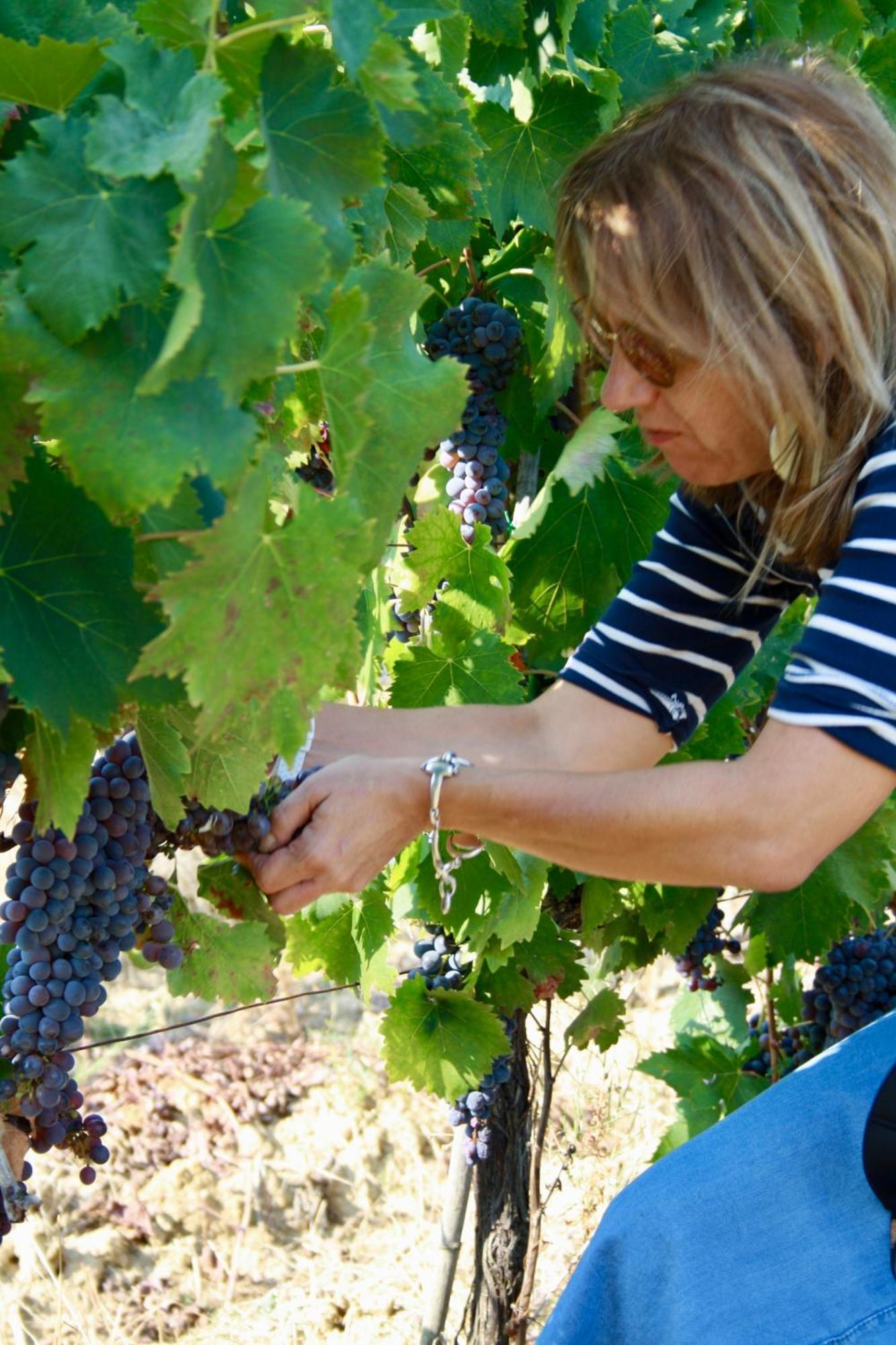Agriturismo Rigone In Chianti Montaione Eksteriør bilde